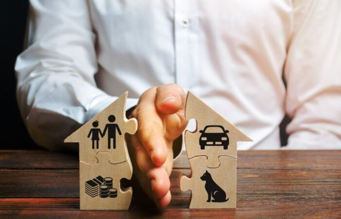 Perros y gatos en el divorcio. Héctor Sánchez Abogado. Abogado de Familia en Gijón
